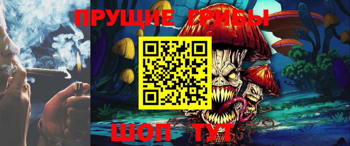 купить   Вход с VPN  Галлюциногенные грибы мицелий  Шебекино  Псилоцибиновые грибы Cubensis 